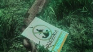 La plataforma tom&oacute; im&aacute;genes del hecho