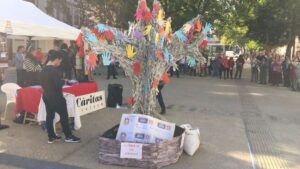 caritas campa&ntilde;a sin techo