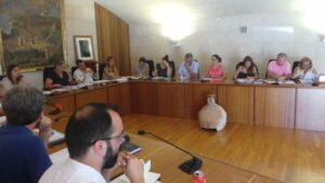 pleno municipal andratx