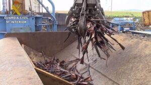 La ley obliga a su destrucci&oacute;n