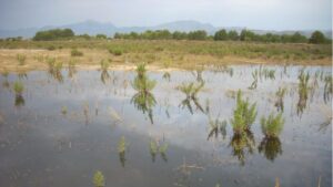 Supone una inversi&oacute;n de 14 millones de euros