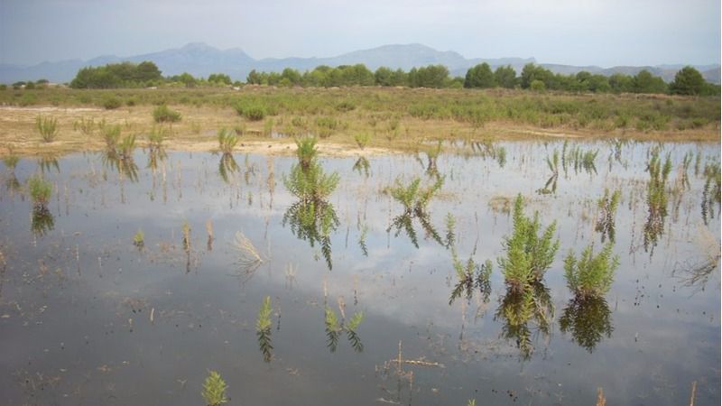 Supone una inversión de 14 millones de euros