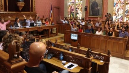 votacion consell sa faixina