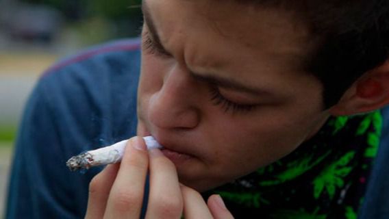 El cannabis y el alcohol, las drogas más consumidas