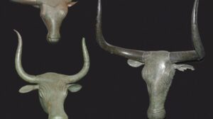 Imagen de las cabezas