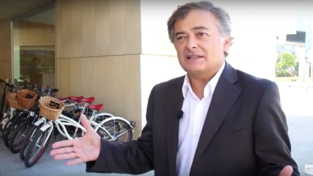 bicicletas melia director palau