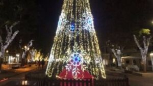 alumbrado navide&ntilde;o vara de rey