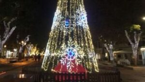 alumbrado navide&ntilde;o vara de rey