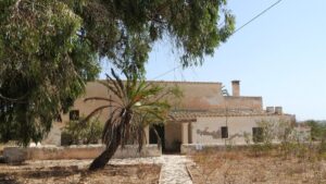 sa senieta formentera