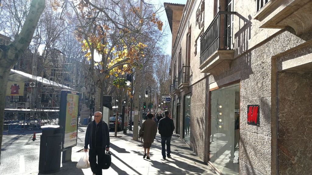 sol gente palma buen tiempo