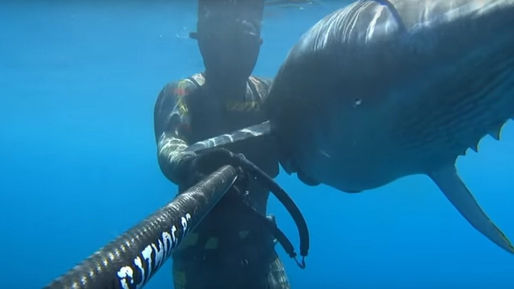 pesca submarina