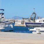 Las conexiones entre Eivissa y Formentera se han visto afectadas