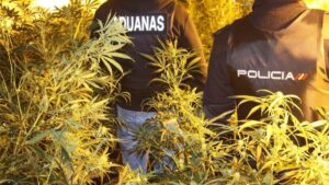 marihuana operaci&oacute;n