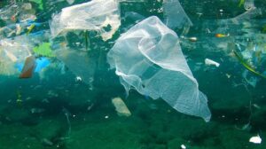 pl&aacute;sticos desechables