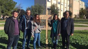 se&ntilde;alizaci&oacute;n uib-esporles