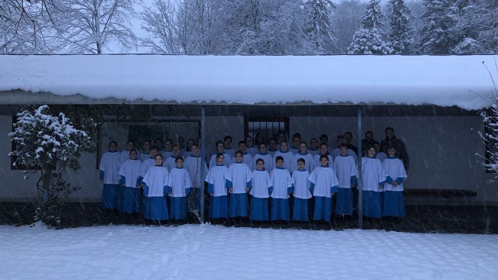 blauets lluch