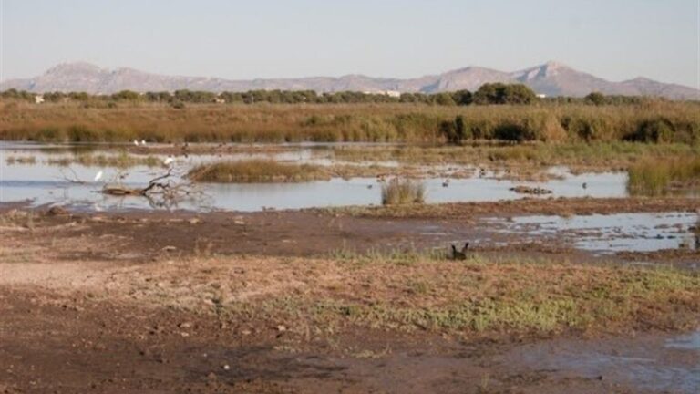 Albufera