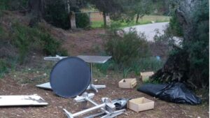 l&iacute;nea verde andratx basura