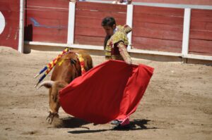velilla torero