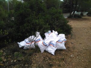 www.mallorcadiario.com_galerias-noticias_galerias_463209_crtacasino
