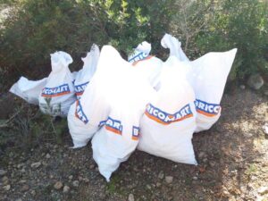 www.mallorcadiario.com_galerias-noticias_galerias_463209_sacs2