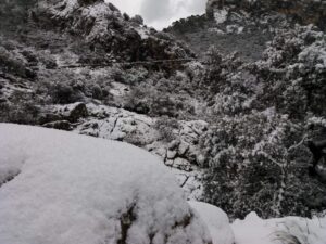 Refugio de Tossals Verds