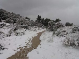 Refugio de Tossals Verds