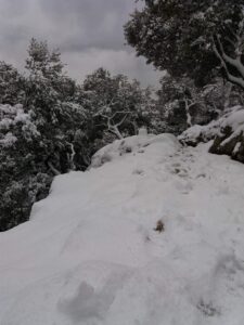 Refugio de Tossals Verds