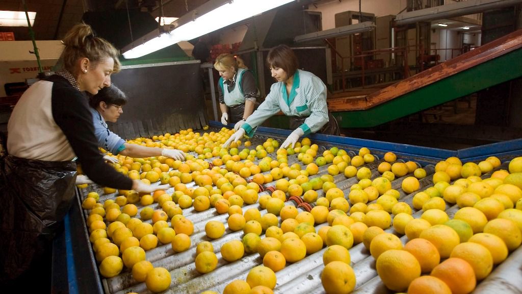 mujeres trabajando