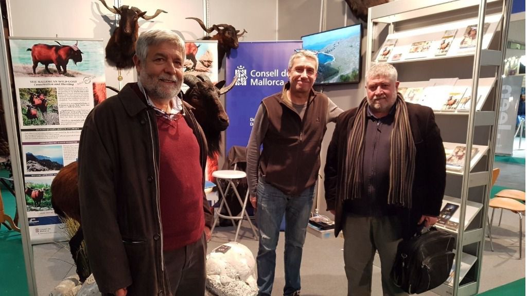 Consell Mallorca cazadores