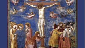 coral mallorca sense fam