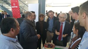 feria empleo marratxi