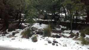 carretera temporal nieve