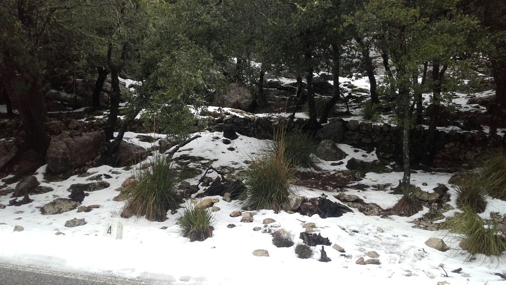 carretera temporal nieve