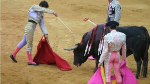 Entre otros, se prohibe la muerte del animal en la plaza