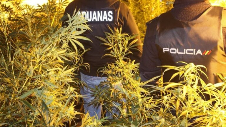 El Hoyo