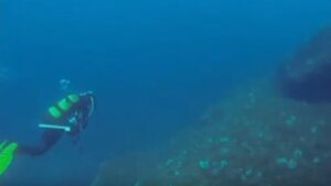 nacras submarinista buzo