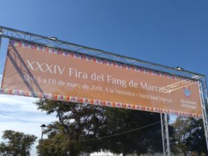 www.mallorcadiario.com_galerias-noticias_galerias_515345_DXWxyPJWsAAtC5f