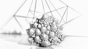 'White Food Structure'