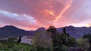 Foto de archivo. Catin Estarellas.