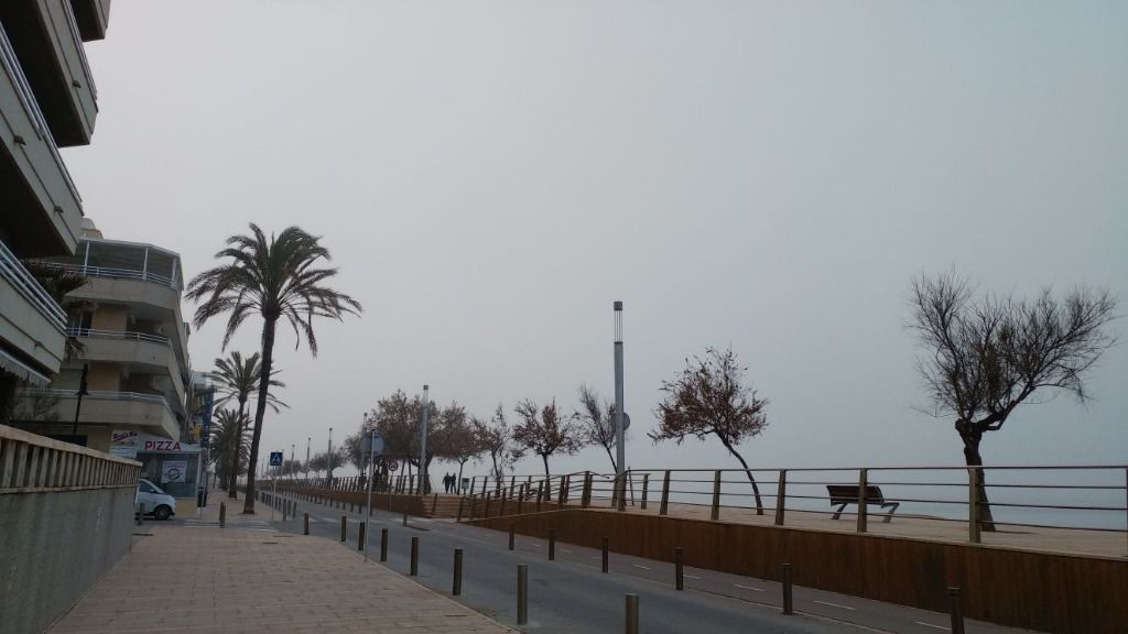 niebla