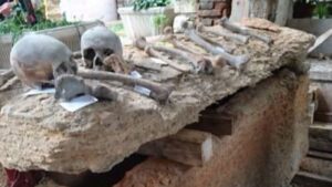 Sarc&oacute;fago hallado en la iglesia de San Fermo de Maggiore, en Verona. Imagen facilitada por el Instituto de Biolog&iacute;a Evolutiva