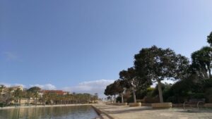 sol gente palma buen tiempo