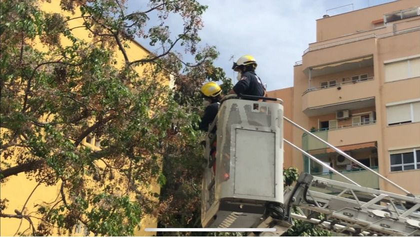 bombero