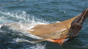 pesca de arrastre