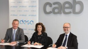 caeb y endesa