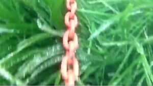 V&iacute;deo: Mateu Ensenyat