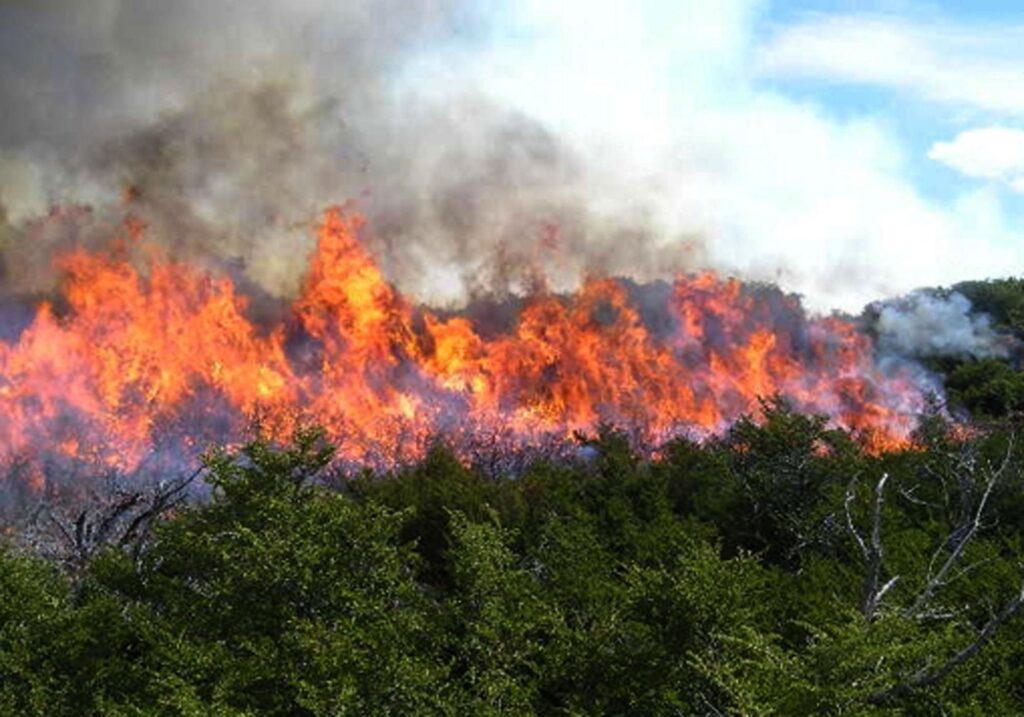 Archivo de incendio en Sa Canova (Artà)
