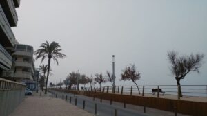 niebla