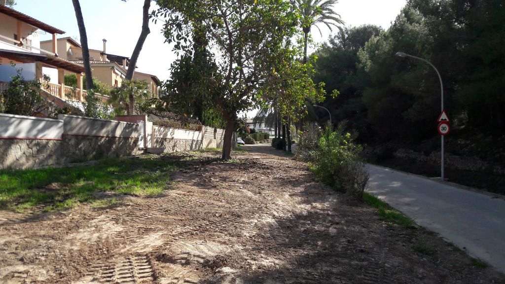 las palmeras obras